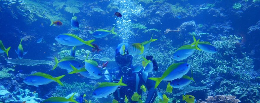大分海之卵水族館