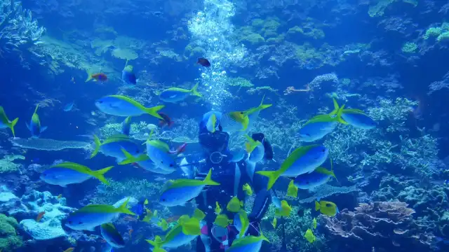 鄰近大分海洋宮殿水族館 海之卵的酒店
