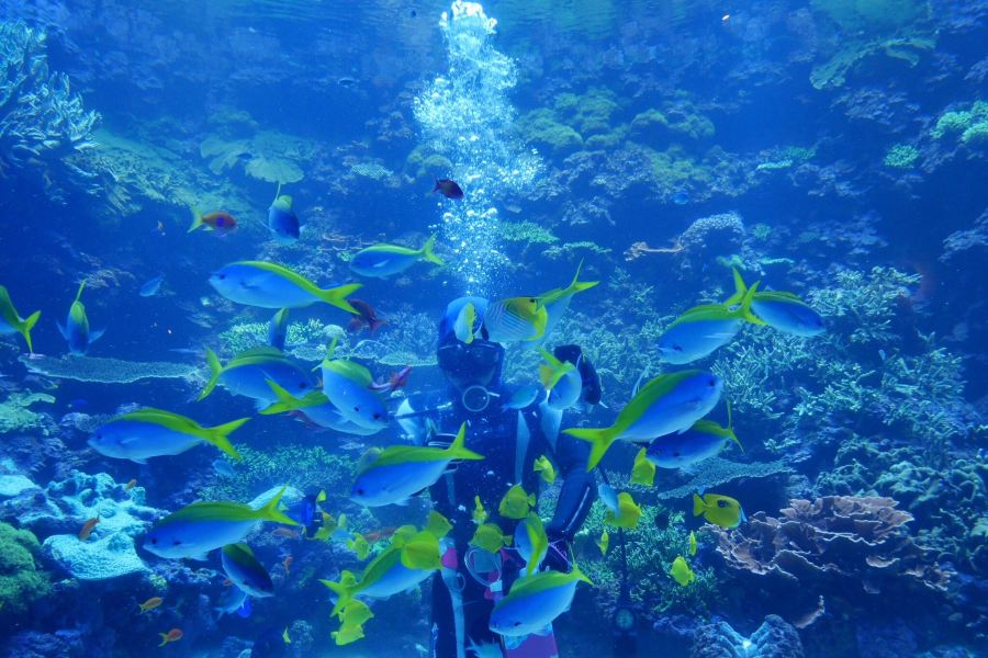 大分海洋宮殿水族館 海之卵