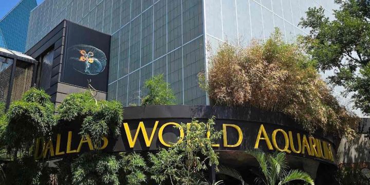 The Dallas World Aquarium