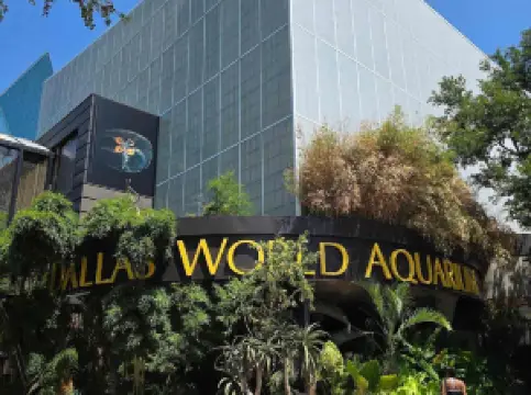 Аквариум Даллас Уорлд