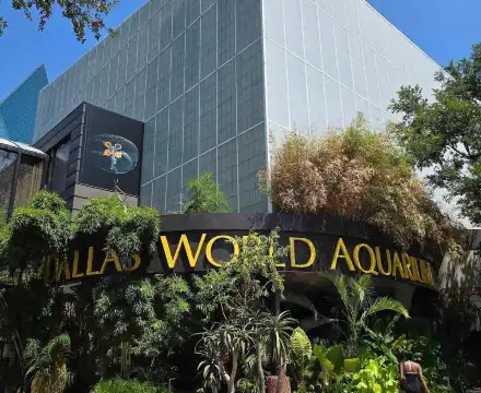 Hotels near The Dallas World Aquarium
