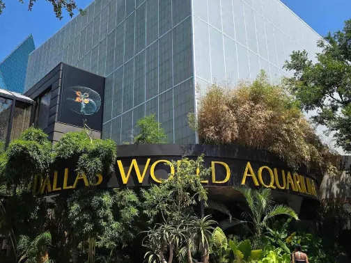達拉斯水族館