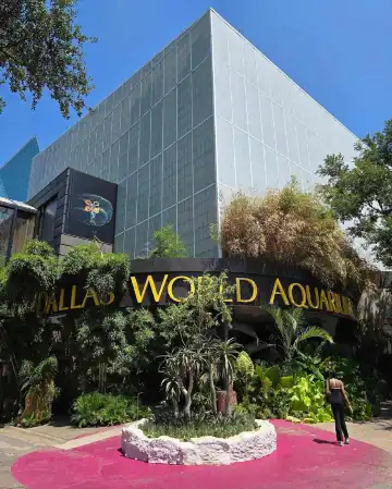 Hotels near The Dallas World Aquarium