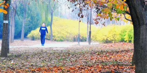 平谷新城濱河森林公園