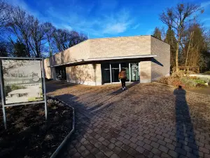 Zátoka rejnoků