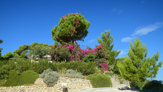 Minoan Palace of Phaistos