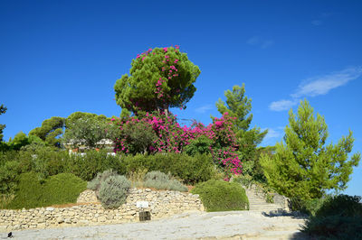 Minoan Palace of Phaistos