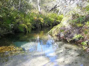 Sam Creek, Cape York