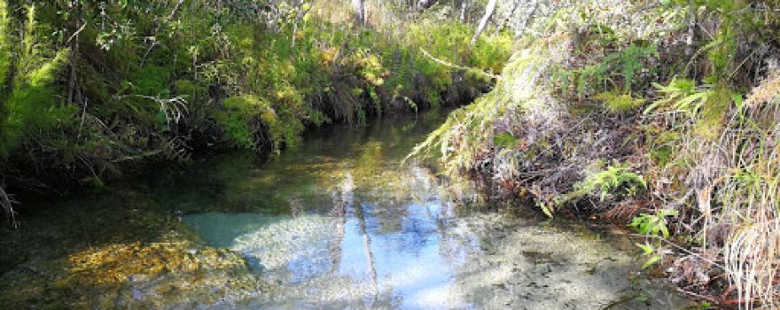 Sam Creek, Cape York