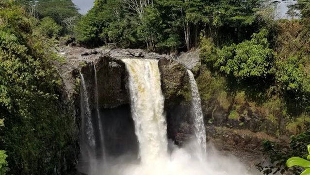 Gilbert Carvalho Park