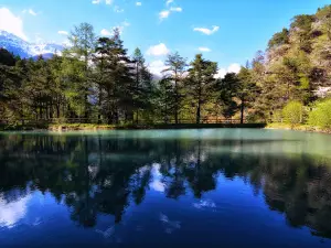 Gran Bosco Camping & Lodge