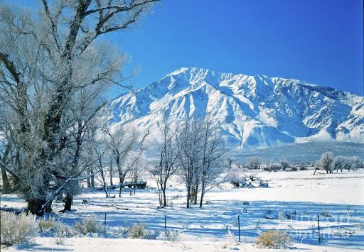 Bishop Paiute Reservation