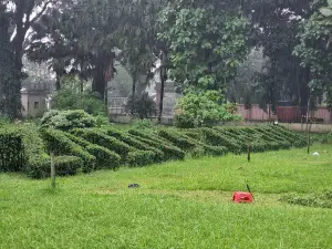 Shilpacharya Zainul Udyan