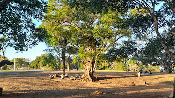 Recreativo Santiago Apóstol Park