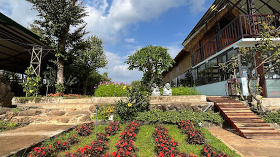 VANLONG ELEPHANTS FARM