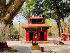 Valmiki Tiger Reserve
