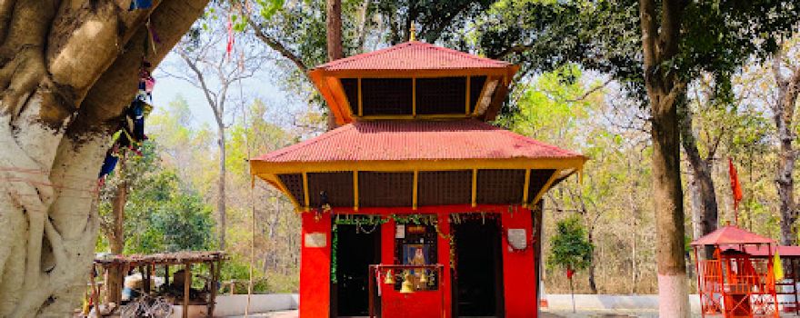 Valmiki Tiger Reserve