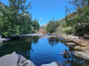 Bluster National Forest Campground