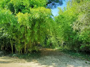 Parque das Águas