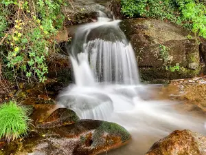 Garganta De Marta