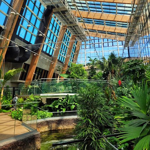 Exotarium Sosnowiec
