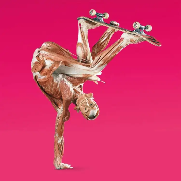 5_BODY WORLDS Amsterdam
