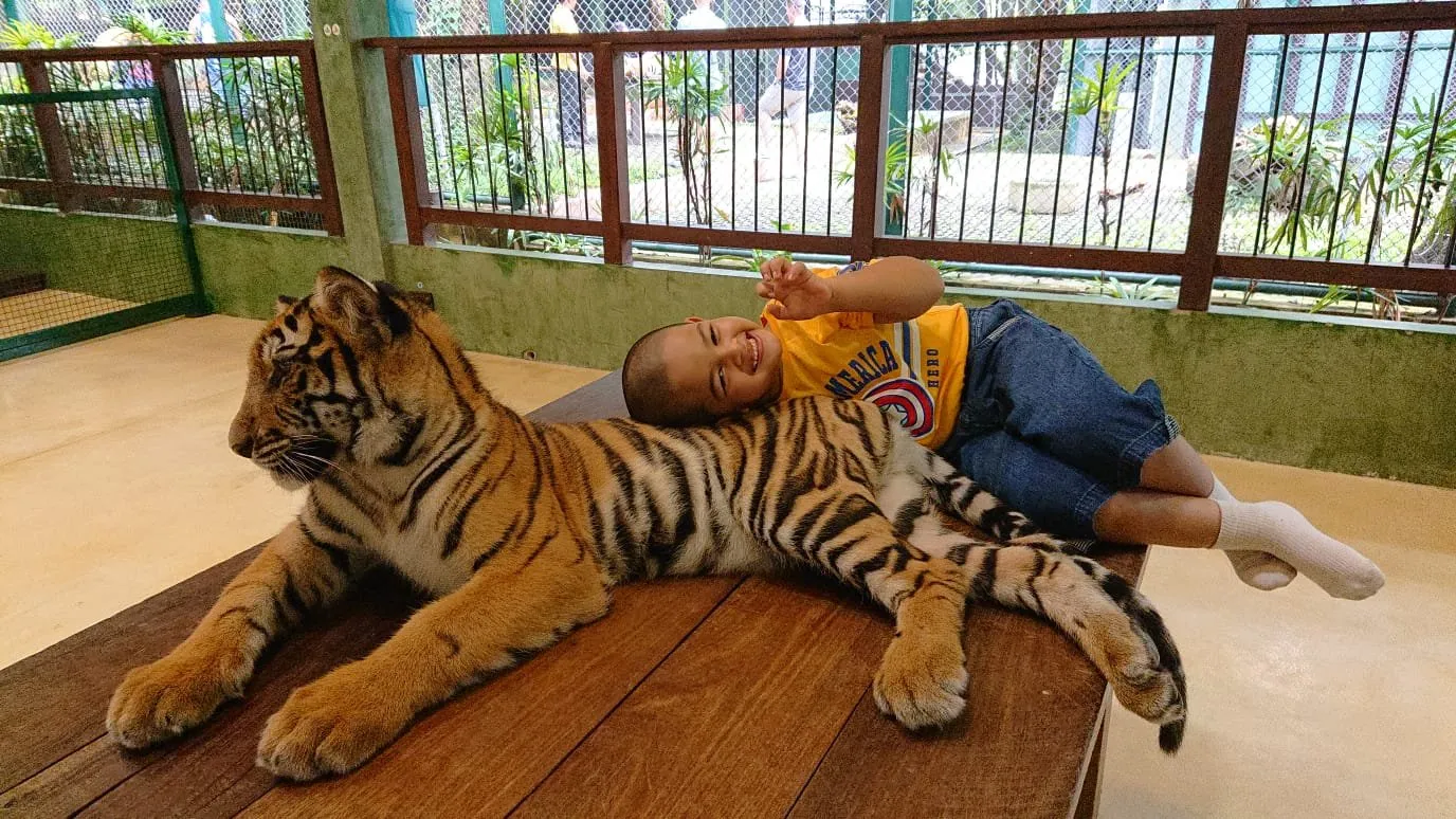 5_Tiger Kingdom Phuket