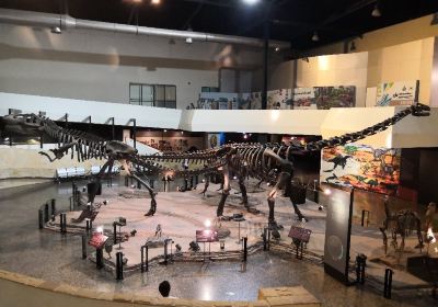 Sirindhorn Museum and Phu Kum Khao Dinosaur Excavation Site