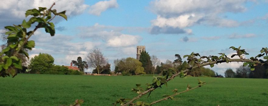 Bressingham Steam Museum & Gardens