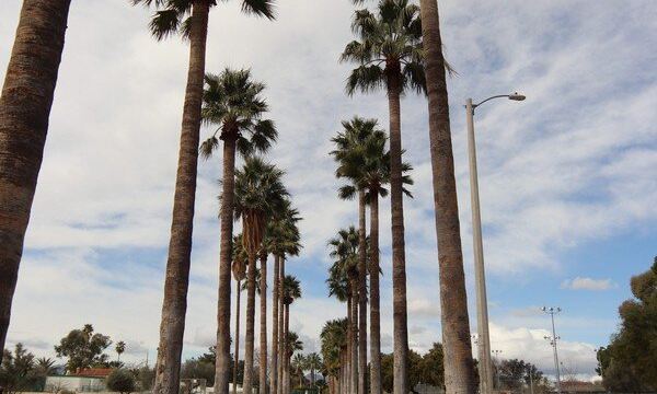 Himmel Park
