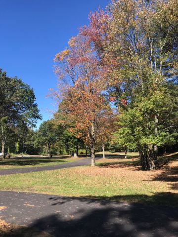 FDR State Park