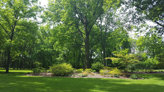 Nathanael Greene/Close Memorial Park