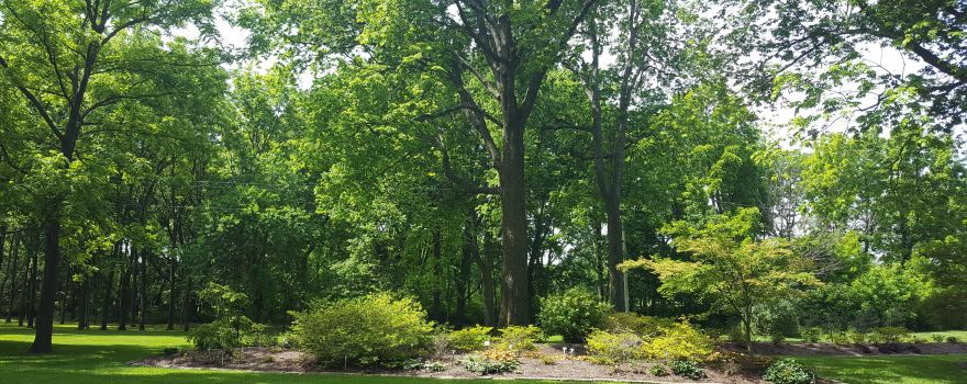 Nathanael Greene/Close Memorial Park