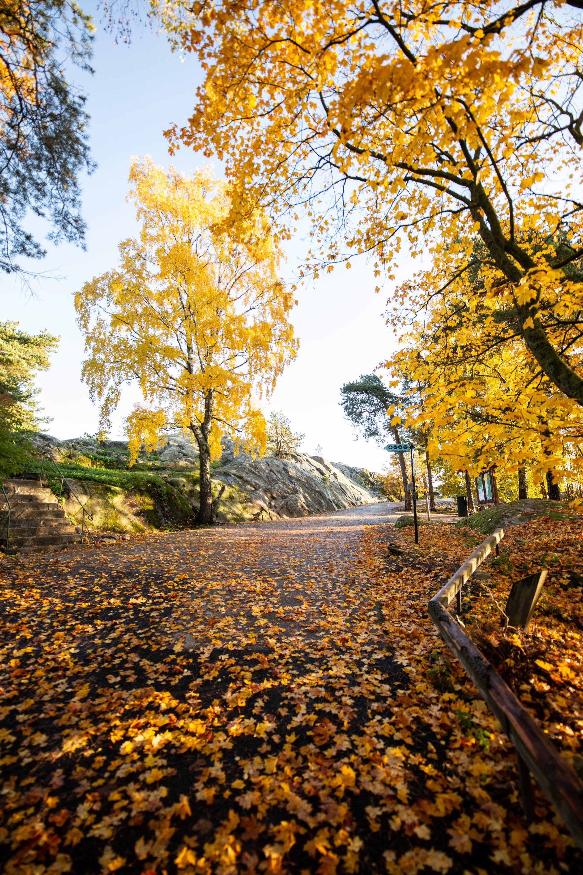 ที่เที่ยวเหมาะกับครอบครัวยอดนิยมในเฮลซิงกิ