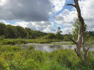Outdoor Centrum Drenthe Friese Wold