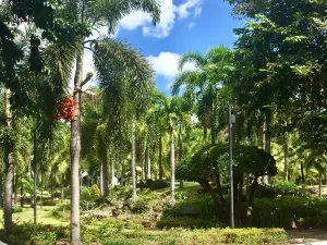 Somdet Phra Srinagarindra Park Roi Et