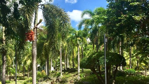 Somdet Phra Srinagarindra Park Roi Et