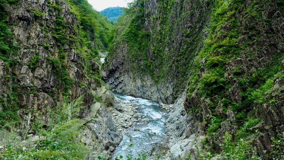 ช่องเขาคิโยสุ