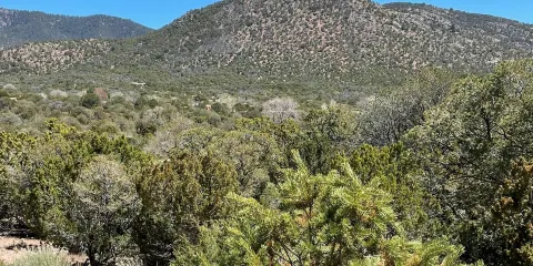 Wheelwright Museum of the American Indian
