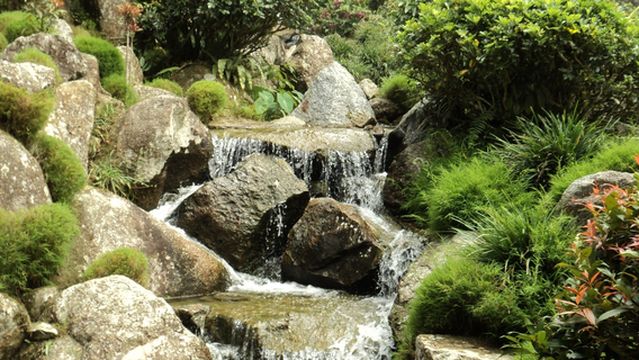 Botanical Garden by Japanese Village