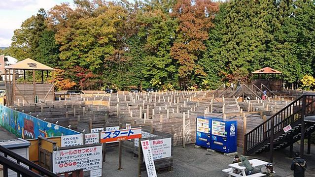 Grand Maze Palladium