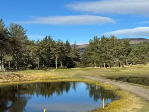 Golspie Golf Club