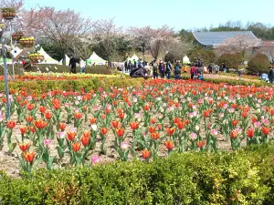 Ulsan Grand Park