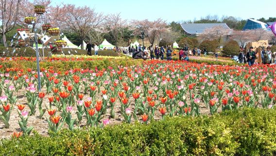 Ulsan Grand Park