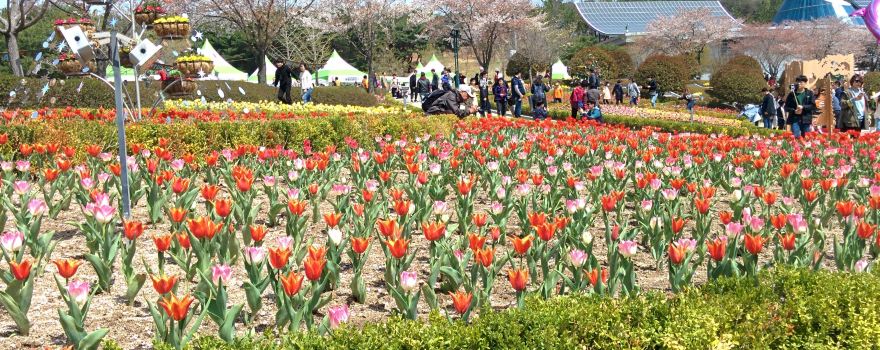 Ulsan Grand Park