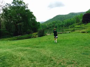 Andy's Trout Farm & Cabins
