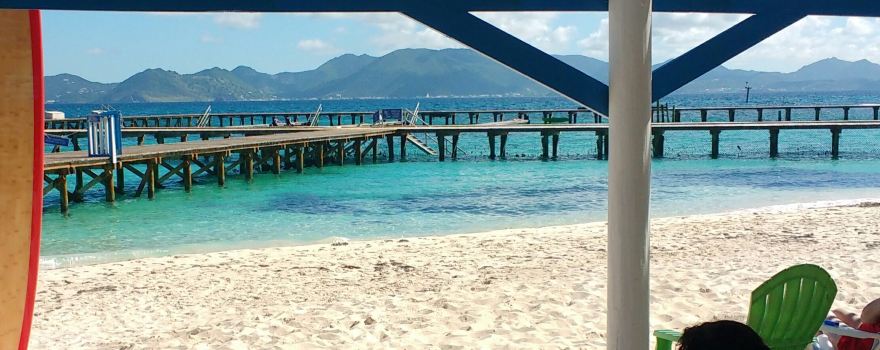 Dolphin Discovery Anguilla