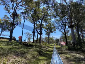 Magic Mountain