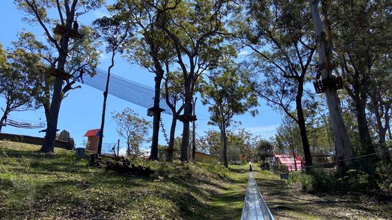 Magic Mountain Merimbula